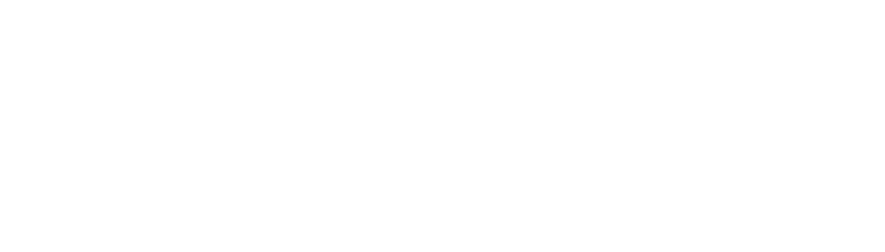 apronic logo